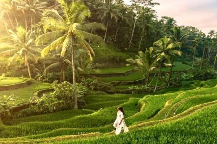 Ubud’s Hidden Gems